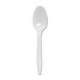 Plastic Spoon Box 100 ct