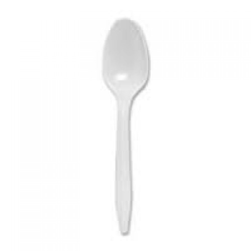 Plastic Spoons 1000ct Case